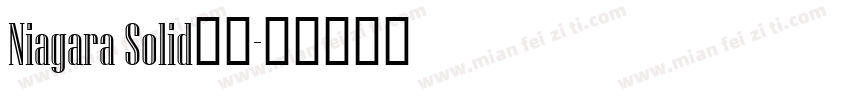 Niagara Solid字体字体转换
